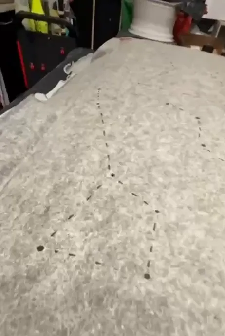 Motif de constellations tracé au feutre sur l'envers du ciel de toit